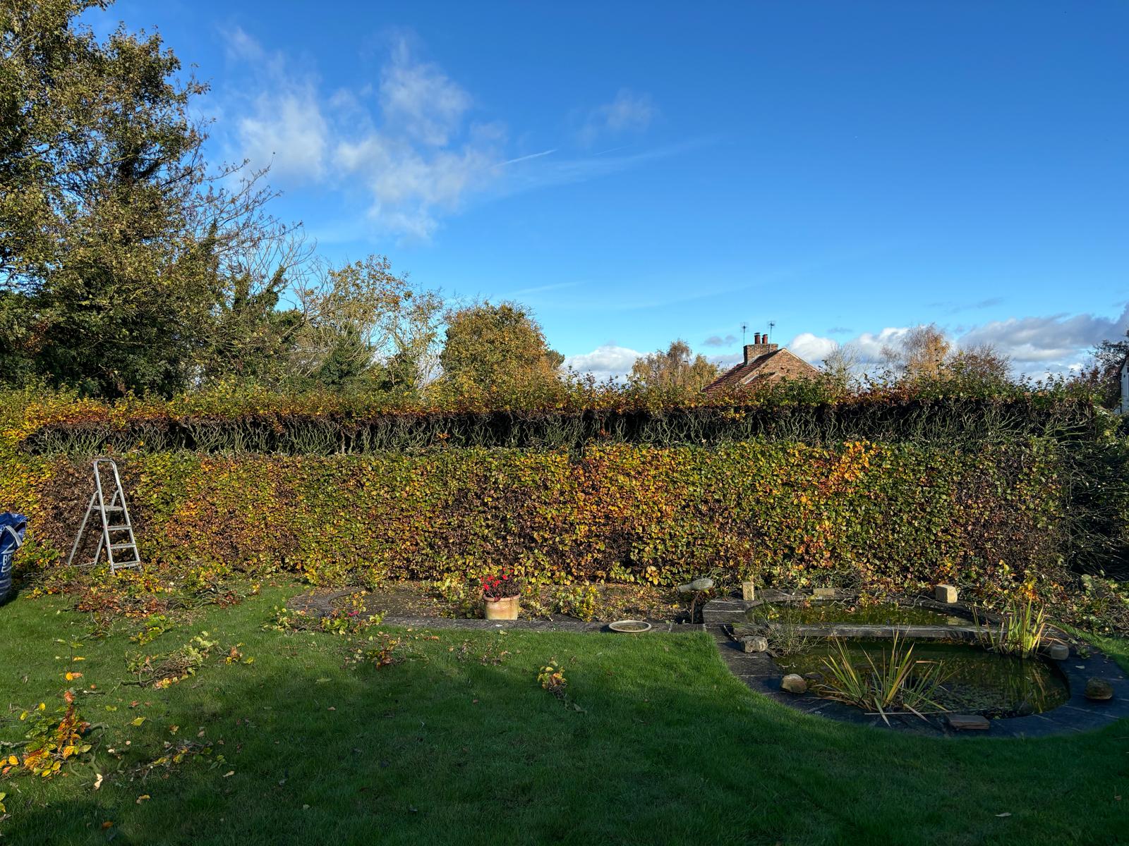 Harrogate Hedge Cutting - Before